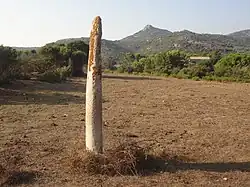 Menhir Vaccil-Vecchio