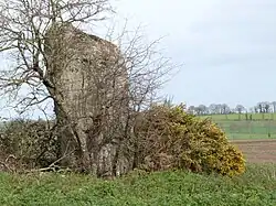 Menhir von Saint-Mirel