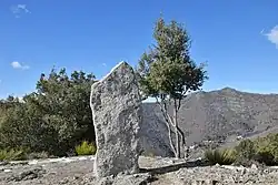 Menhir du Col de Bès