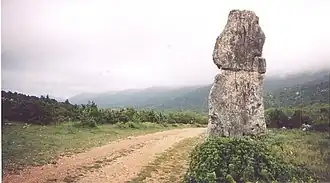 Menhir du Lacam des Lavagnes