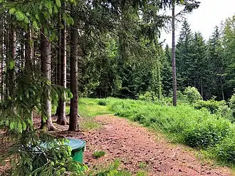 Gipfelbereich des Merauthbergs