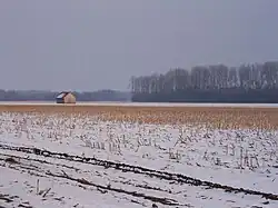 Landschaft im Merfelder Bruch