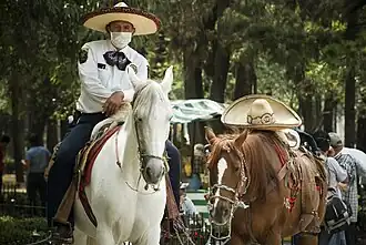 Mexikanische berittene Polizei mit Sombrero (2009)