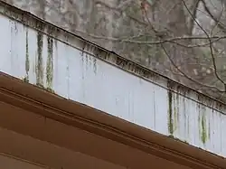 Ablauf-Streifen an Traufe aufgrund fehlender Dachrinne