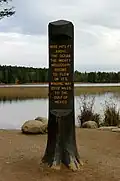 Am Ufer des Lake Itasca