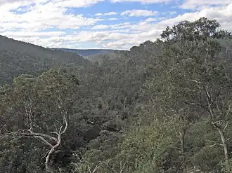 Blick nach Norden in das Tal des Mitchell River von The Bluff Lookout hoch über dem Mitchell River National Park