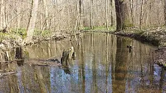 Die Mittlere Paußnitz zwischen Blümelsteig und Brückenstraße
