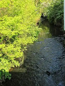 Modau an der Kaisermühle (2010)