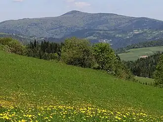 Die Mogielica vom Berg Wierch Lelonek im Gorce-Gebirge