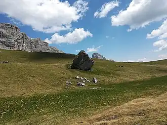 Der Fundplatz Mondeval de Sora liegt bei dem großen Findling in der Bildmitte