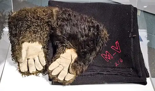 Bisonfellhandschuhe der Monida und Yellowstone Stage Company (1898–1913) (Museum of the Rockies)