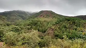 Landschaft von Zapatoca