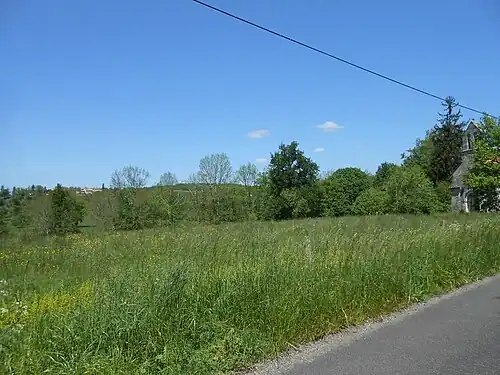 Grabeninneres bei Petit Saint-Martin. Im Hintergrund die Grabenschulter bei Montagenet.