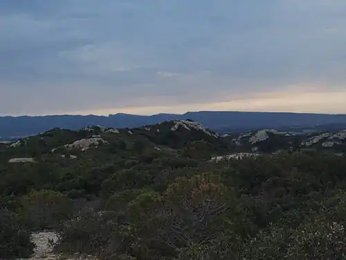 Typische Flora (niedriges Gebüsch) der Montagnette