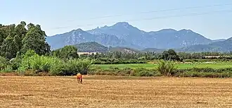 Das Massiv des Monte Ferru (Ogliastra), mittig, von Norden her gesehen