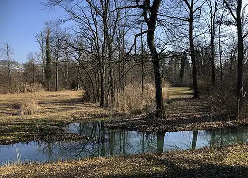 Naturschutzgebiet Giriz Rottenschwil