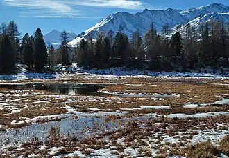 herbstlicher Boniger See in der Moosalp mit Augstbordhorn (r.) und Weisshorn (l., Hintergrund)