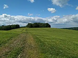 Morgenstenhöhe vom Fritzschotenbüschel