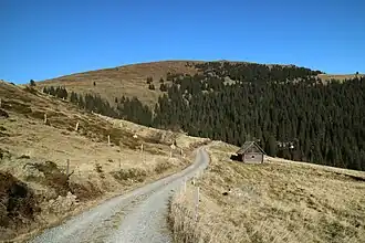 Moschkogel von Südosten (Bärentalalm)