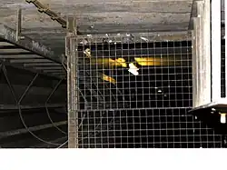 Einstieg in Pfeiler 1