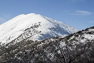 Mount Feathertop vom Gipfelanstieg aus