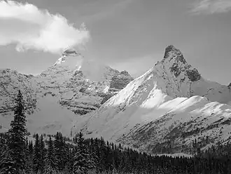 Mount Athabasca von Norden