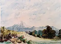 Mount Taranaki von Glenavon aus gesehen (1856)