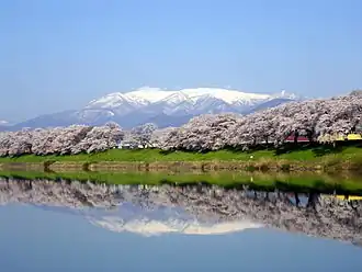 Der Berg Zaō im Kirschblütenaspekt (Sakura)
