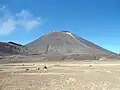 Rückblick durch den South Crater auf Mount Ngauruhoe