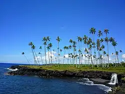 Mu Pagoa Falls am Meer.