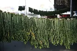 Rettichgrün (das Kraut; auch getrocknet)