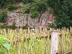 Steilufer der Mulde bei Klosterbuch