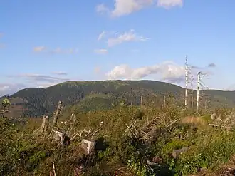 Blick auf Veľká Vápenica vom Hang des westlich gelegenen Bergs Kolesárová