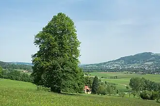 Blick über Kirchdorf zum Grillenparz (rechts)