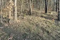 Großsteingrab Anderlingen 1