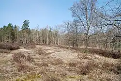 Großsteingrab Boltersen