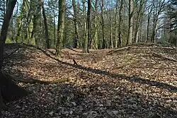 Großsteingrab Heinschenwalde Fpl. 26