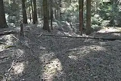 Großsteingrab Heinschenwalde Fpl. 36