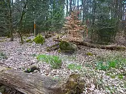 Großsteingrab Nahrendorf Fpl. 5