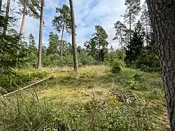 Großsteingrab Rohstorf 5