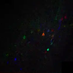 Die räumlichen Faktoren können auch räumlich überlagert dargestellt werden (hier als Farbkanäle eines RGB-Bildes), um die Neuronen visuell in funktional ähnliche Klassen einzuteilen