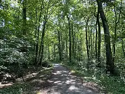 Wanderweg am trockengefallenen Hinkesforstgraben