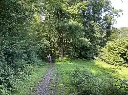 Wanderweg ins NSG westl. Engeldorf