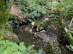 Naturnaher Bachverlauf