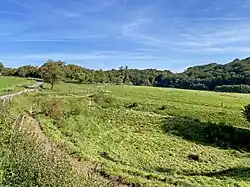 Blütenreiches Magerwiesen-Tälchen bei Dicke – nördlicher Endpunkt des NSG