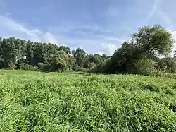 Blick auf das Zentrum des NSG