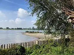 Rheinufer am südlichsten Punkt des NSG