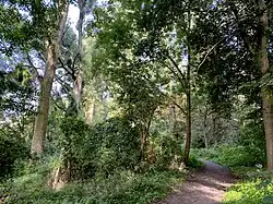 Wanderweg A6 am Ostrand des NSG