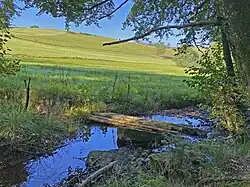 Der Antlenbach tritt aus dem Auwald in ein offenes Wiesental