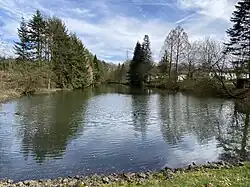 Teich nordwestl. Reitanlage Grüner Weg